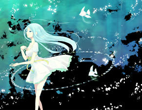 Фото Star Driver: Kagayaki no Takuto