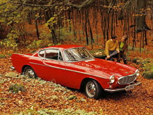 Фото Volvo volvo p1800 автомобиль