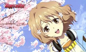 Фотография Азбука цветов