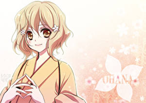 Картинки Hana-Saku Iroha