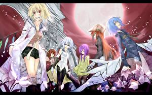 Фотографии Touhou Collection