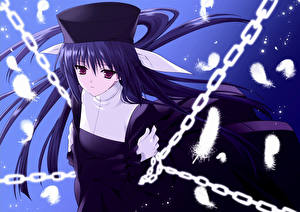 Фотография Эф - история воспоминаний