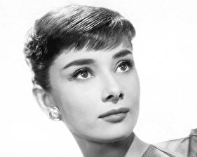 Фото Audrey Hepburn