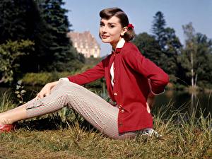 Фото Audrey Hepburn