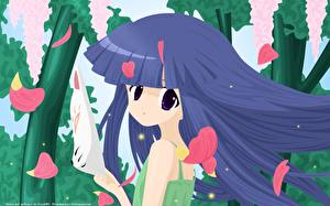 Фотография Higurashi No Naku Koro Ni Аниме