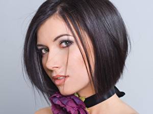 Обои для рабочего стола Тутси Музыка Знаменитости Девушки