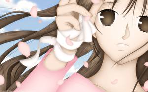 Фото Корзинка фруктов