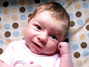 Картинка Грудной ребёнок Взгляд Дети