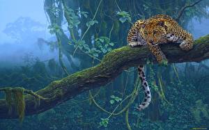 Фотографии Большие кошки Леопард