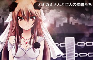 Картинка Ookami-san to Shichinin no Nakama-tachi Аниме