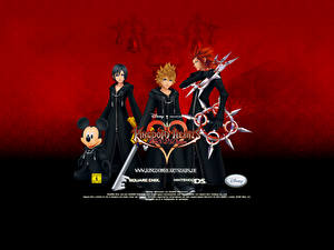 Фото Kingdom Hearts компьютерная игра
