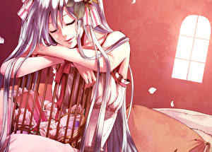 Фотография Vocaloid Аниме