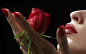 Фотографии Губы Поцелуй розы