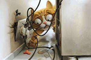 Фотография Юмор