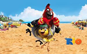 Обои Рио мультик