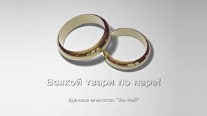 Фотография Юмор