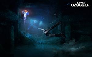 Фотография Tomb Raider Tomb Raider Underworld компьютерная игра