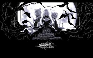 Фотография Touhou Collection