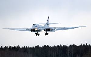 Фотография Самолеты Ту-160 Летят Авиация