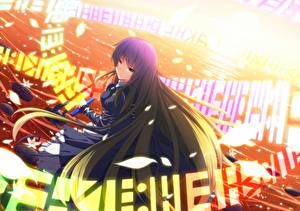 Обои Touhou Collection