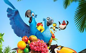 Картинки Рио Мультфильмы