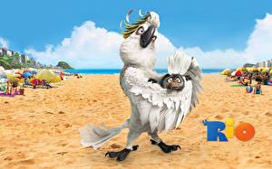 Картинки Рио Мультики