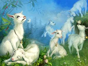 Картинка Коза козел животное
