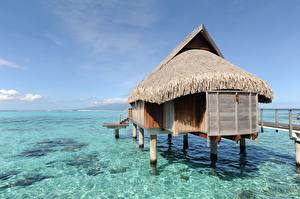 Картинка Побережье Бунгало Природа