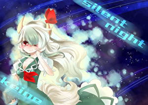 Фотографии Touhou Collection