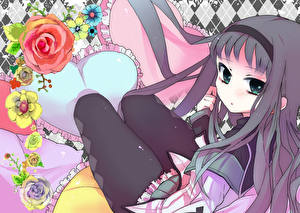 Фото Mahou Shoujo Madoka Magica Аниме