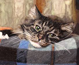 Картинки Коты Рисованные животное