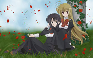 Картинка Otome wa Boku ni Koishiteru