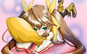 Фотография IS: Infinite Stratos Аниме