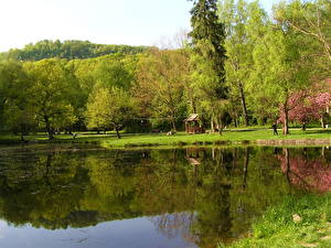 Фото Парк Украина Карпаты Природа