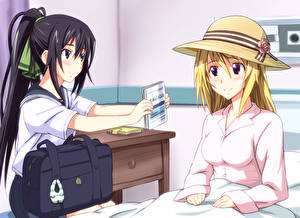 Фотография IS: Infinite Stratos Аниме