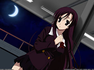 Картинки School Days