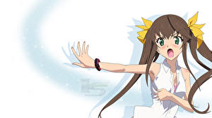 Картинки IS: Infinite Stratos Аниме