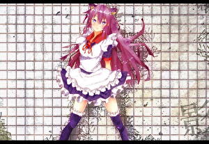 Обои Bakemonogatari Аниме