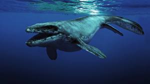 Обои Древние животные Подводные Древние животные животное