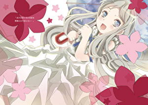 Фотографии Невиданный цветок