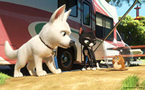 Картинка Дисней Вольт