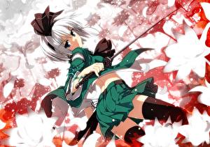 Фотографии Touhou Collection