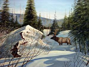 Фотографии Олени животное