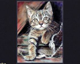 Фотографии Кошки Рисованные животное