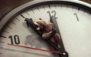 Картинки Креатив Циферблат Часы Медведь