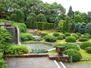 Фото Парк Киото Botanical Garden Природа
