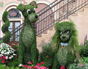Фото Много Франция Парки Собаки Walt Disney цветок Мультики