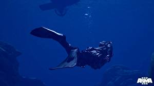 Фотография ArmA