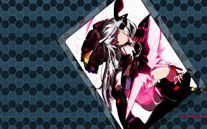 Фото IS: Infinite Stratos Аниме