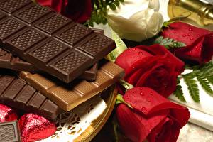 Фотография Сладкая еда Шоколад Шоколадная плитка